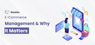 Ecommerce Management
