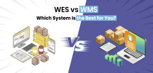 WES vs WMS